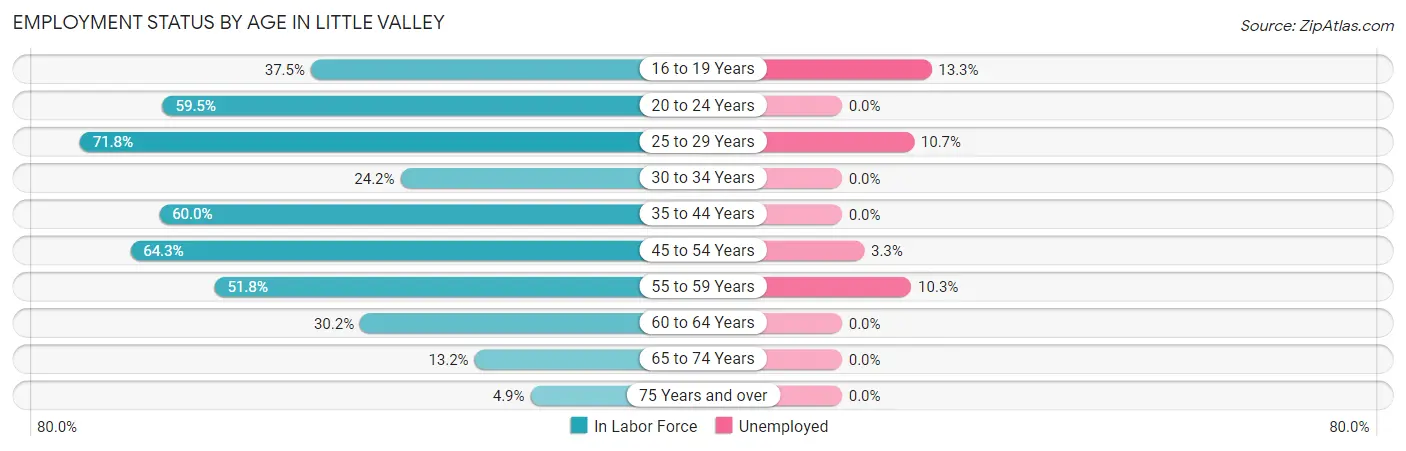 Employment Status by Age in Little Valley