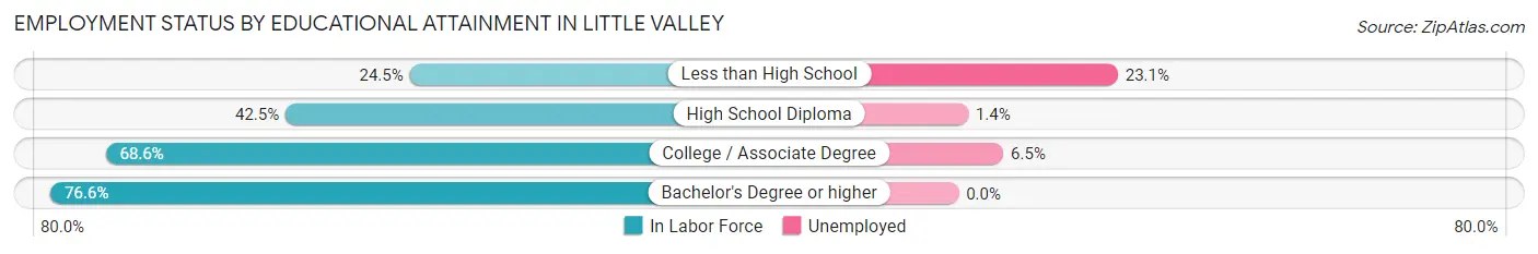Employment Status by Educational Attainment in Little Valley