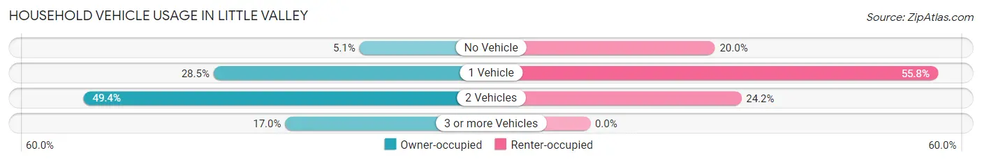Household Vehicle Usage in Little Valley