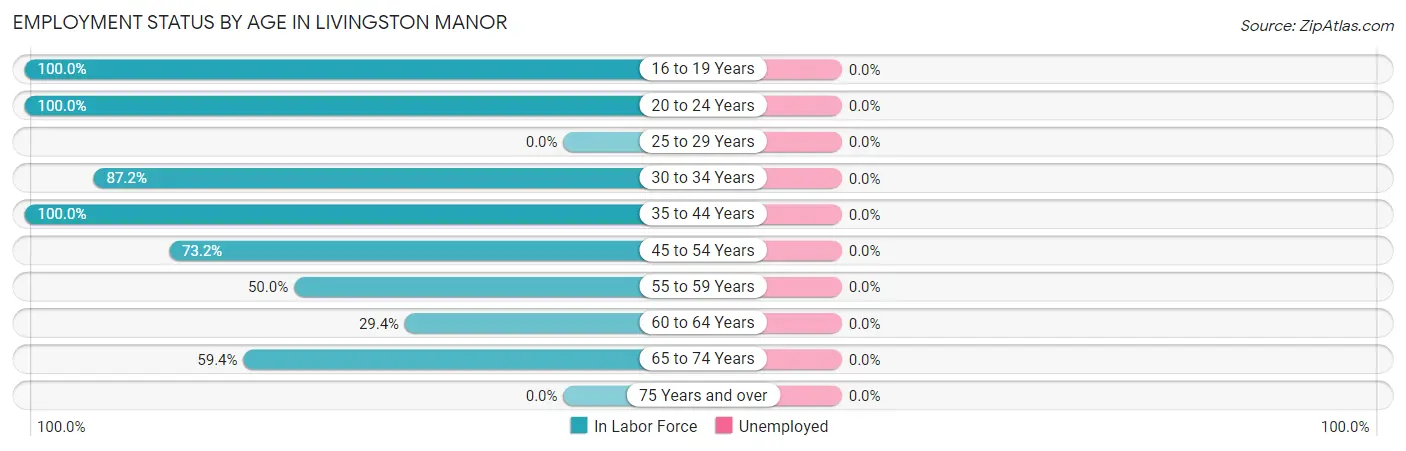 Employment Status by Age in Livingston Manor