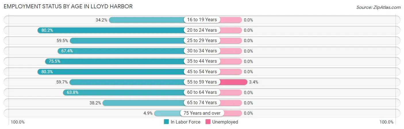 Employment Status by Age in Lloyd Harbor
