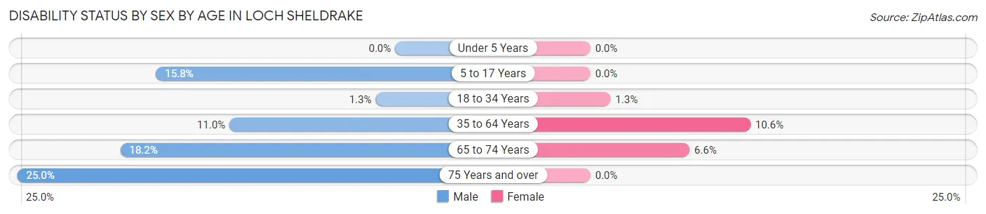 Disability Status by Sex by Age in Loch Sheldrake