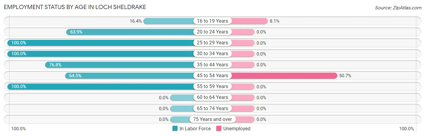 Employment Status by Age in Loch Sheldrake