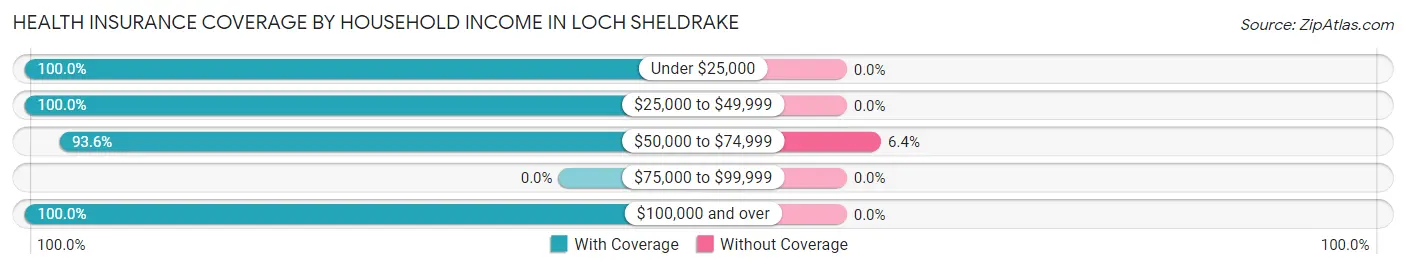 Health Insurance Coverage by Household Income in Loch Sheldrake