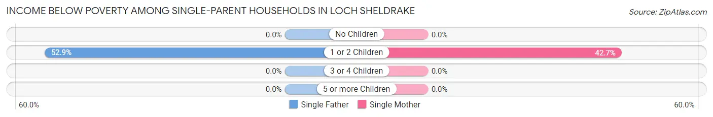 Income Below Poverty Among Single-Parent Households in Loch Sheldrake