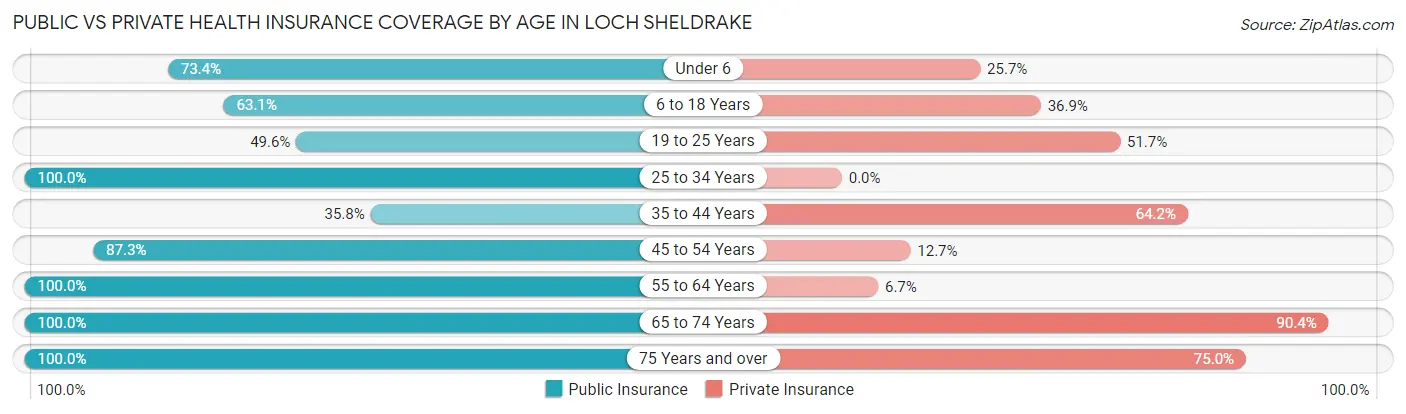 Public vs Private Health Insurance Coverage by Age in Loch Sheldrake
