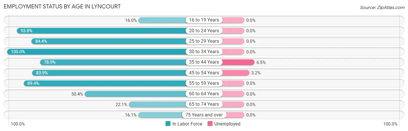 Employment Status by Age in Lyncourt