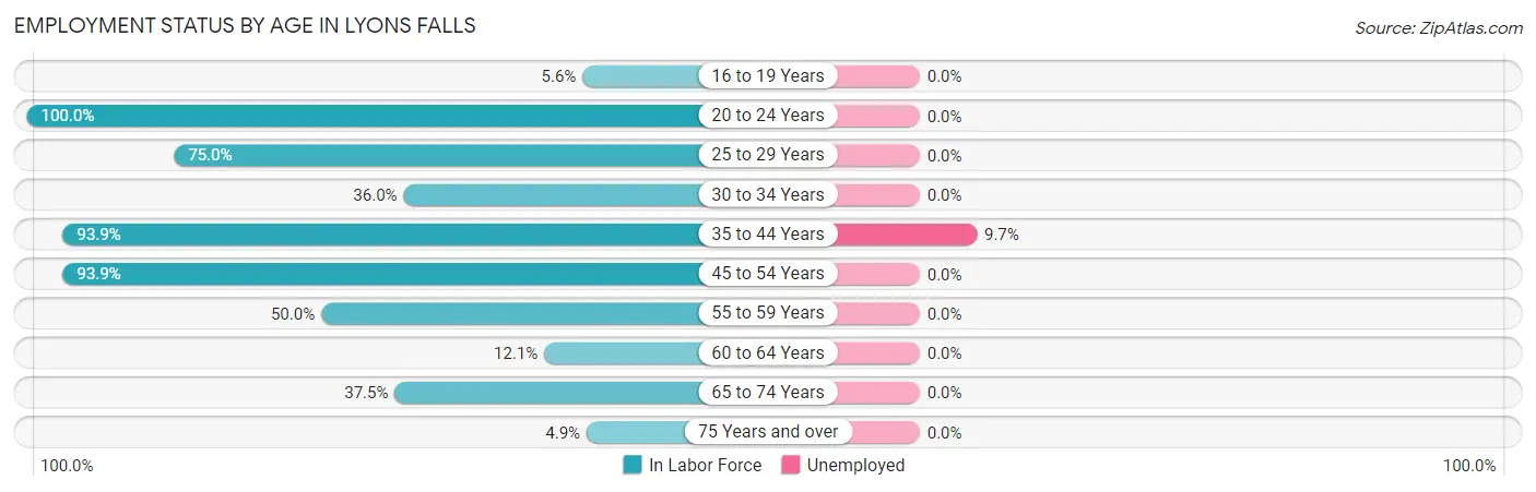 Employment Status by Age in Lyons Falls