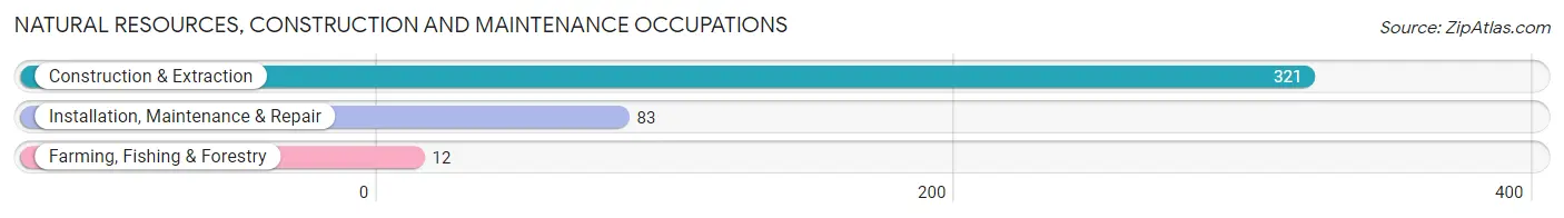 Natural Resources, Construction and Maintenance Occupations in Mahopac