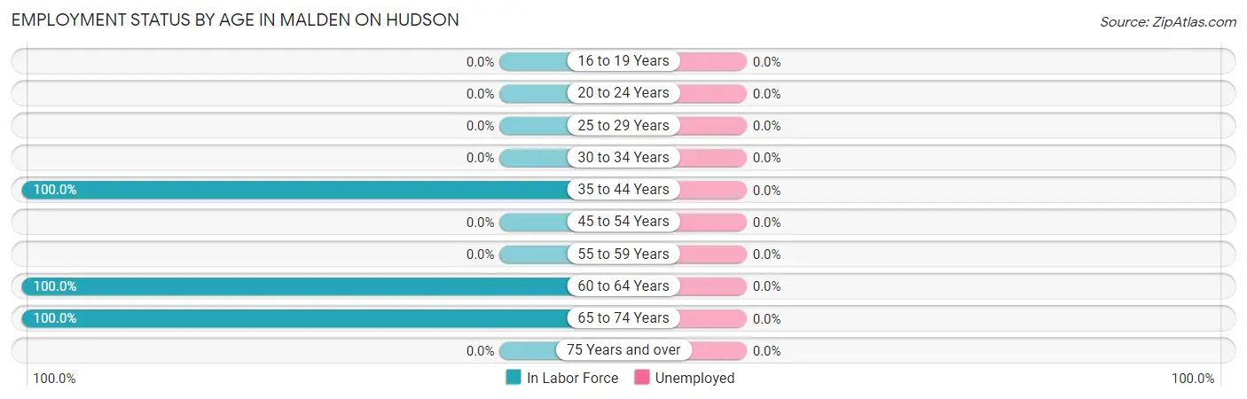 Employment Status by Age in Malden On Hudson