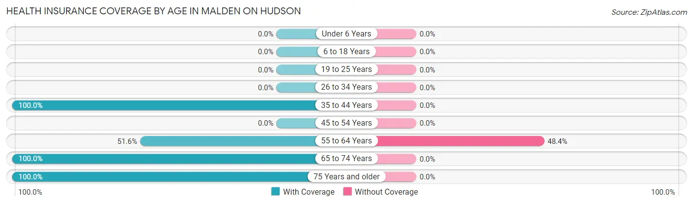 Health Insurance Coverage by Age in Malden On Hudson