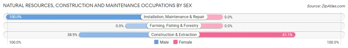 Natural Resources, Construction and Maintenance Occupations by Sex in Manlius
