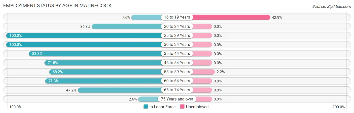 Employment Status by Age in Matinecock