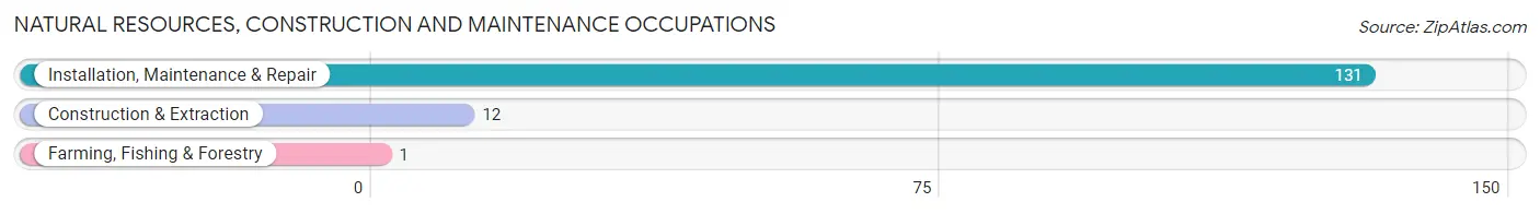 Natural Resources, Construction and Maintenance Occupations in Mattituck