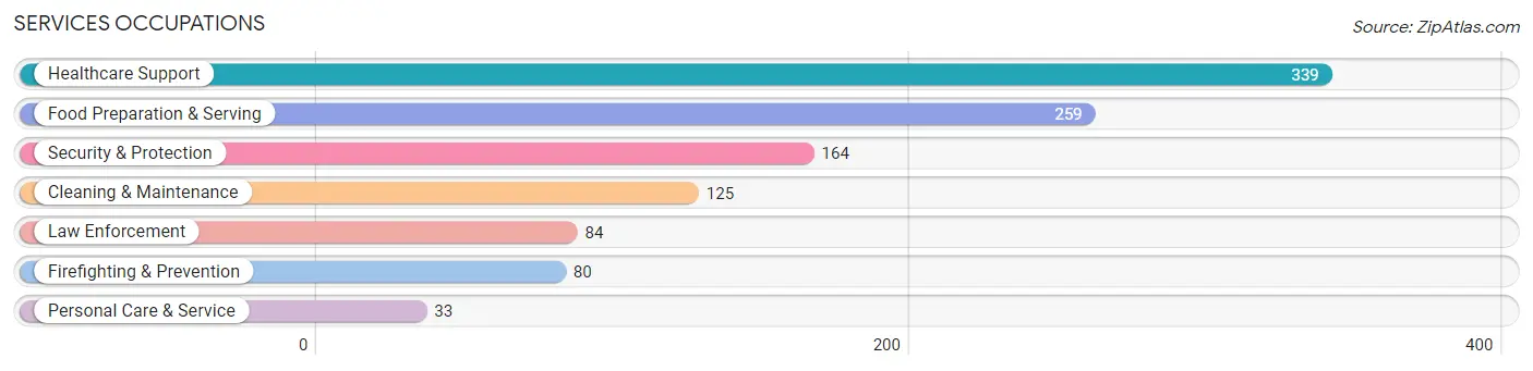 Services Occupations in Mechanicstown