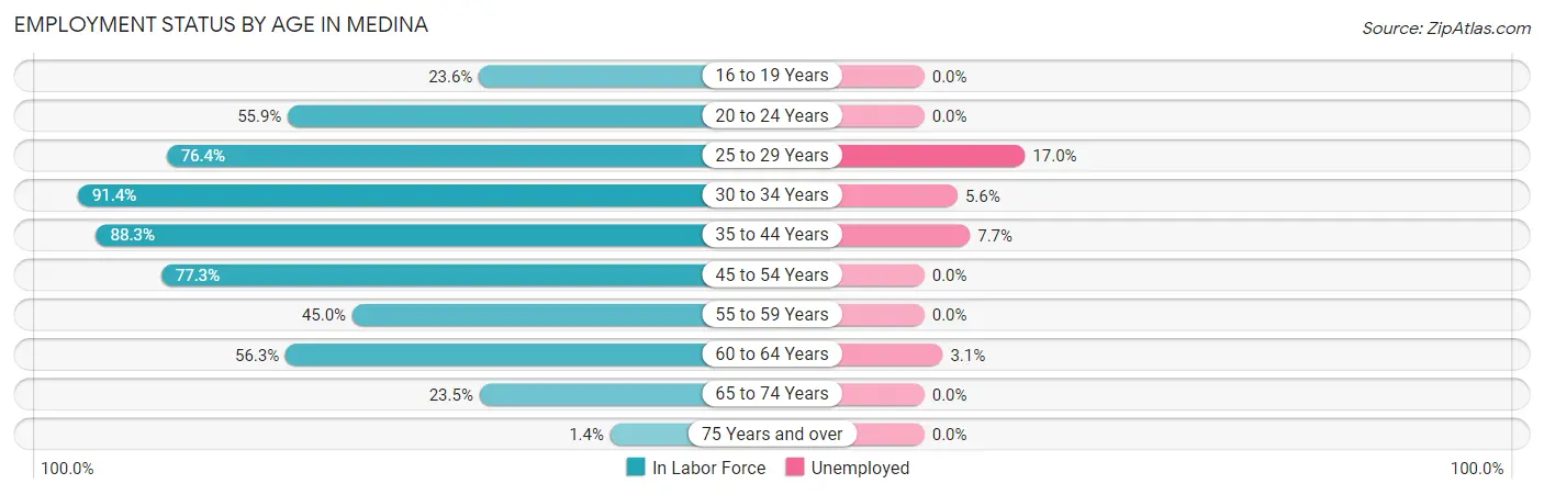 Employment Status by Age in Medina