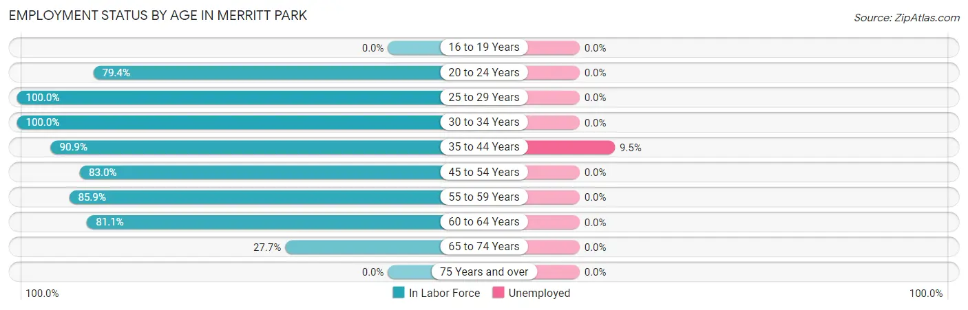 Employment Status by Age in Merritt Park
