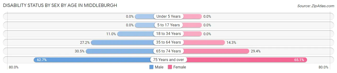 Disability Status by Sex by Age in Middleburgh