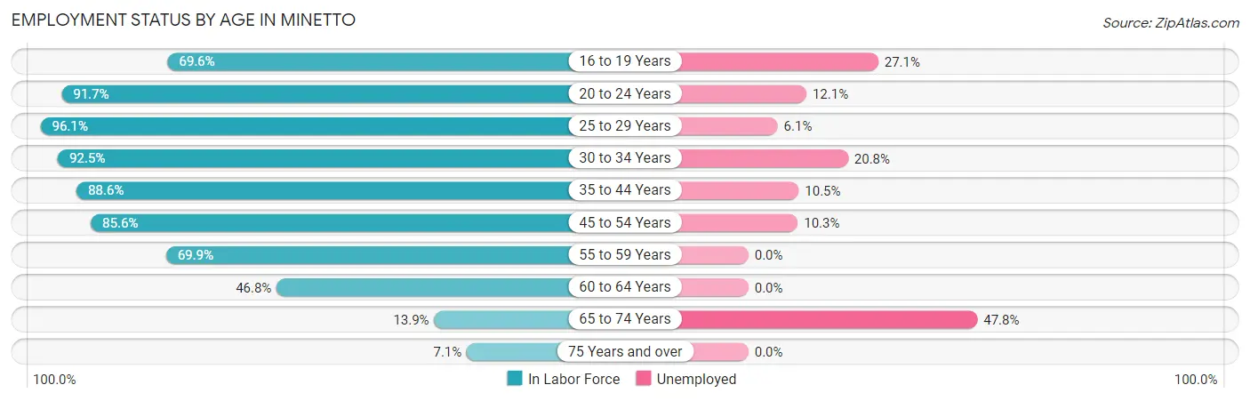 Employment Status by Age in Minetto