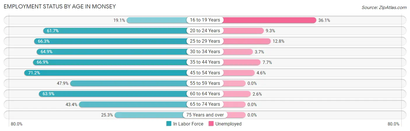 Employment Status by Age in Monsey