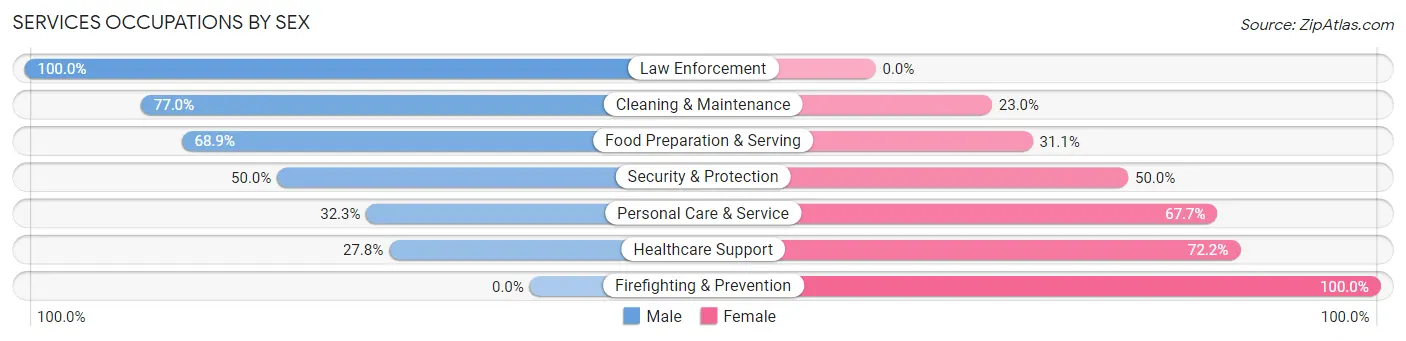 Services Occupations by Sex in Monsey