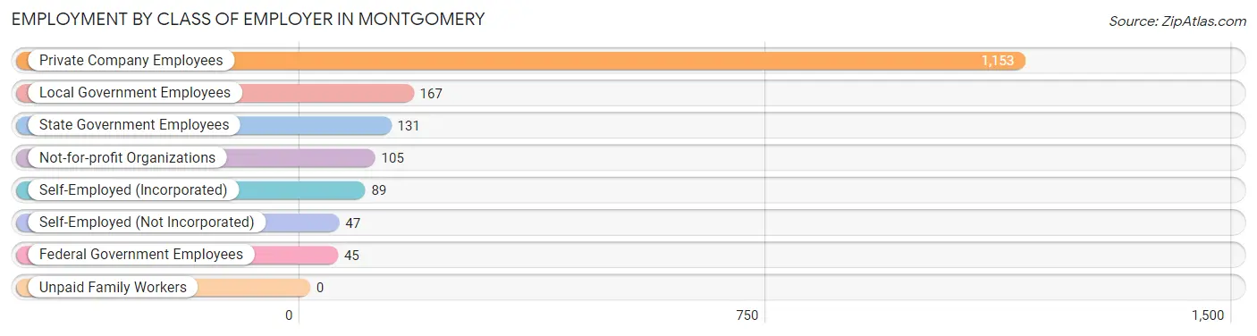 Employment by Class of Employer in Montgomery