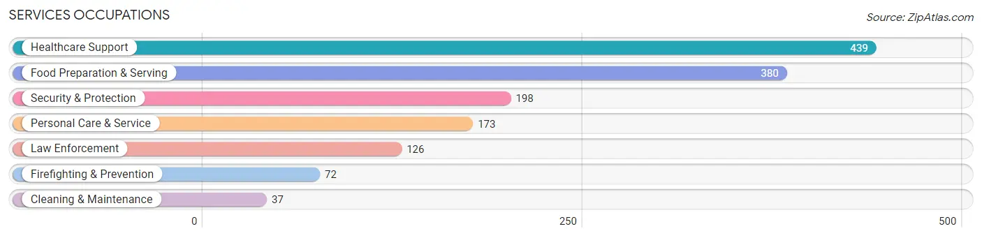 Services Occupations in Monticello