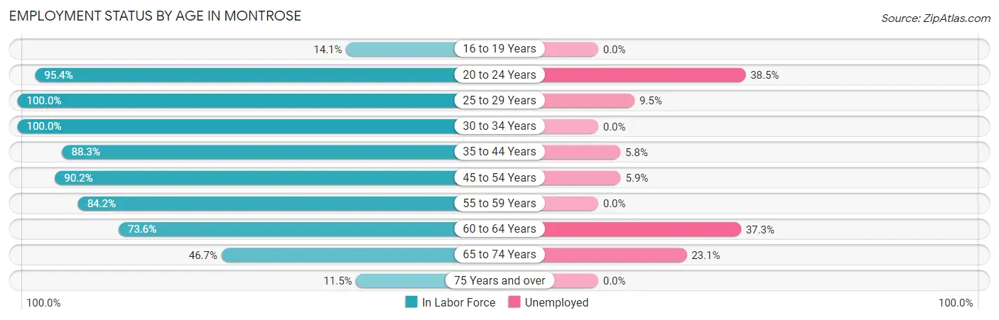 Employment Status by Age in Montrose