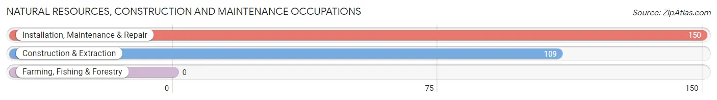 Natural Resources, Construction and Maintenance Occupations in Montrose