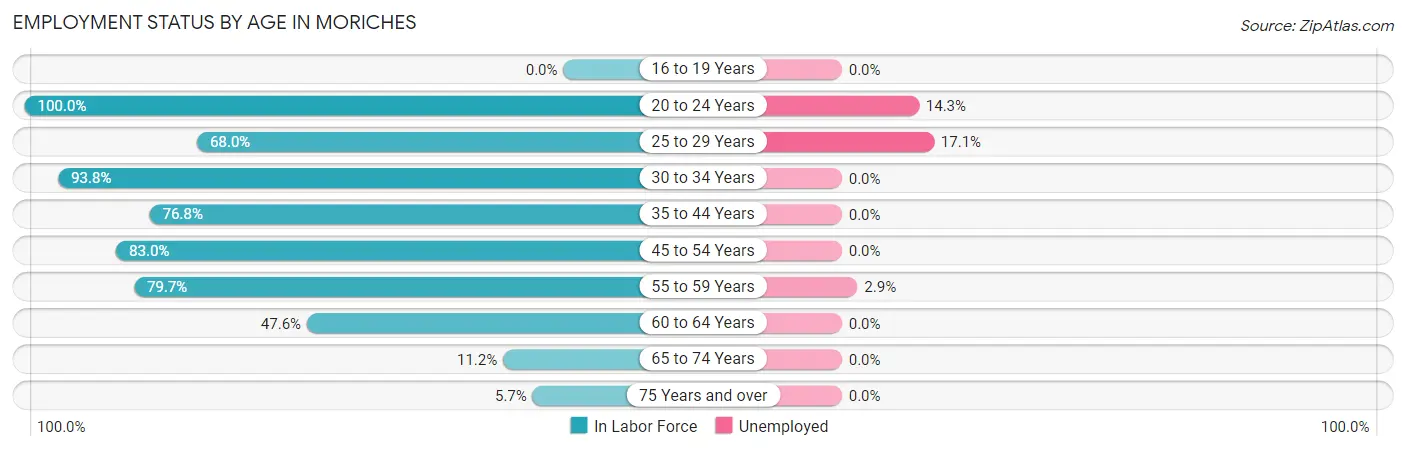 Employment Status by Age in Moriches