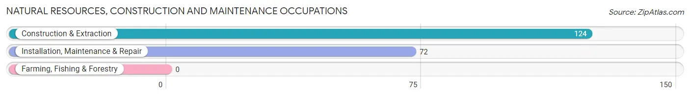 Natural Resources, Construction and Maintenance Occupations in Mount Morris