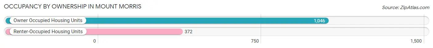 Occupancy by Ownership in Mount Morris