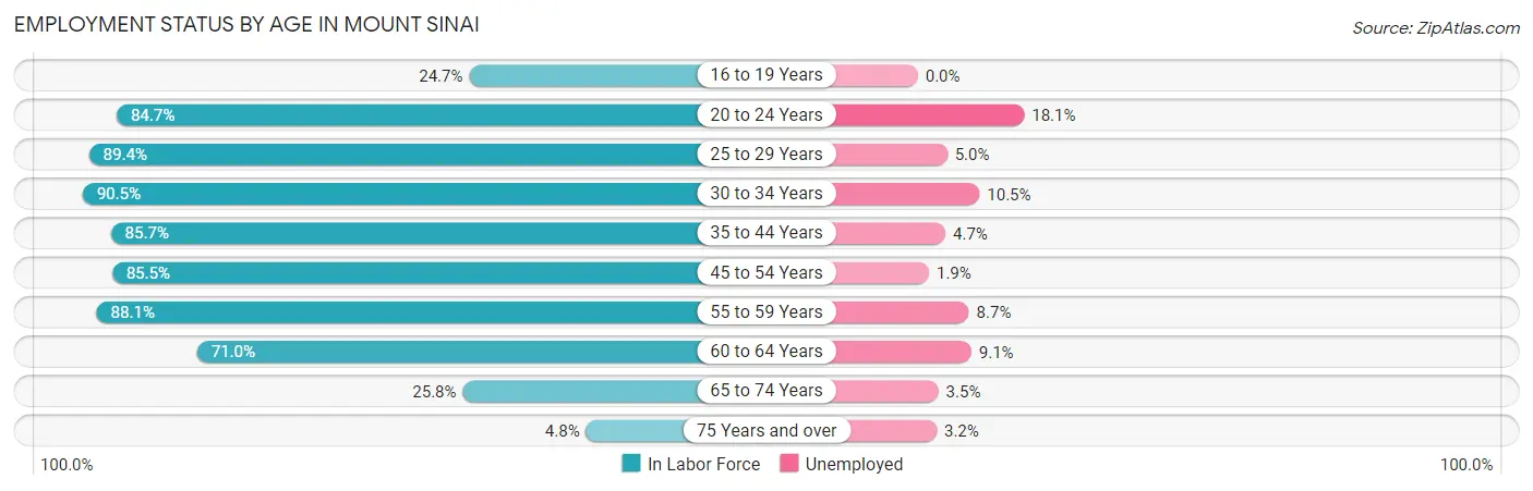 Employment Status by Age in Mount Sinai