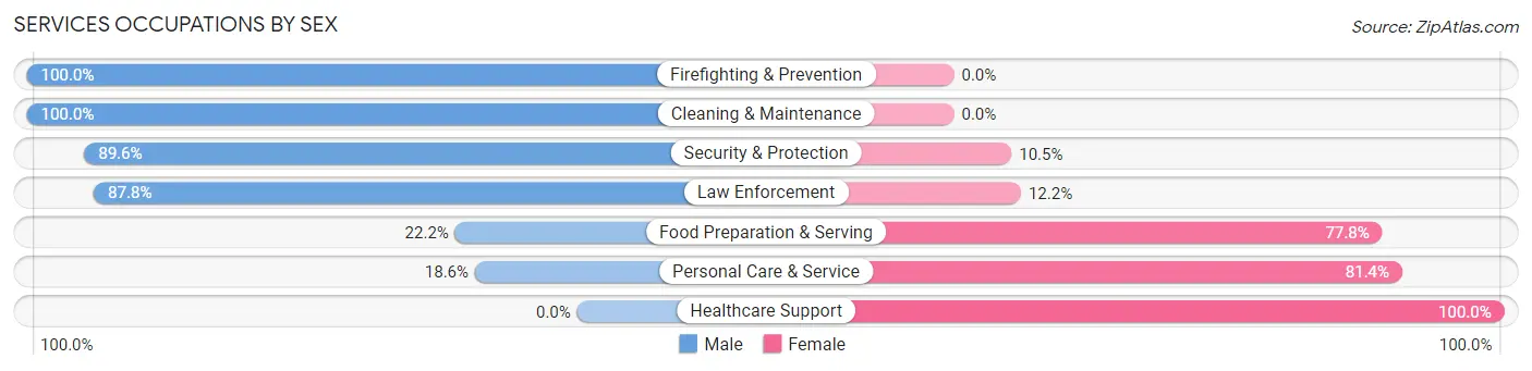 Services Occupations by Sex in Mount Sinai