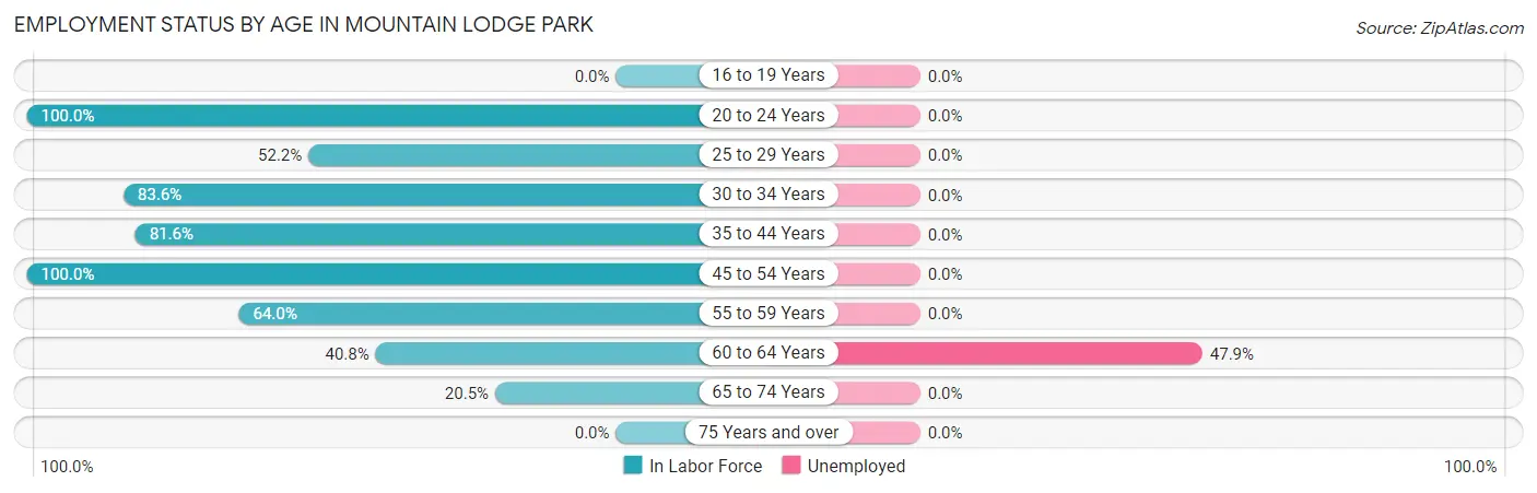 Employment Status by Age in Mountain Lodge Park
