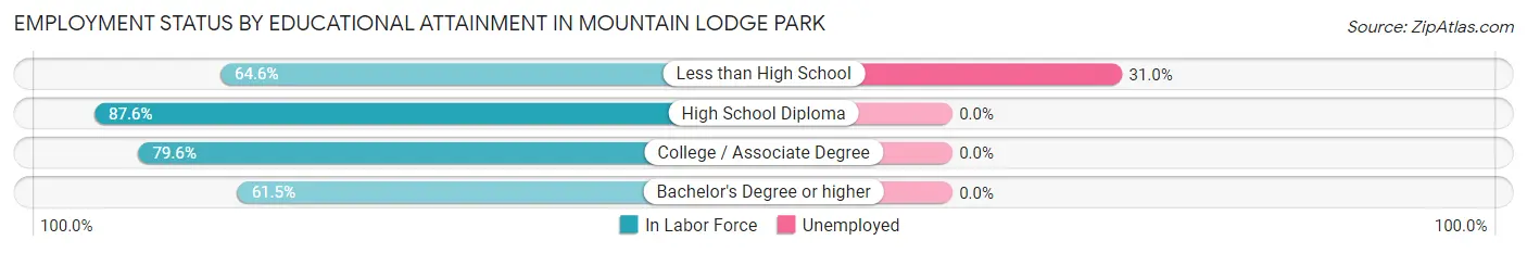 Employment Status by Educational Attainment in Mountain Lodge Park