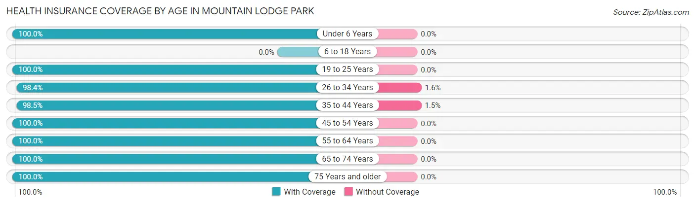 Health Insurance Coverage by Age in Mountain Lodge Park