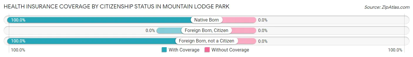 Health Insurance Coverage by Citizenship Status in Mountain Lodge Park