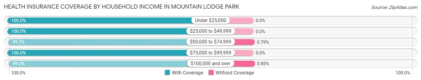 Health Insurance Coverage by Household Income in Mountain Lodge Park