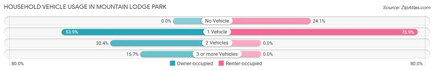 Household Vehicle Usage in Mountain Lodge Park