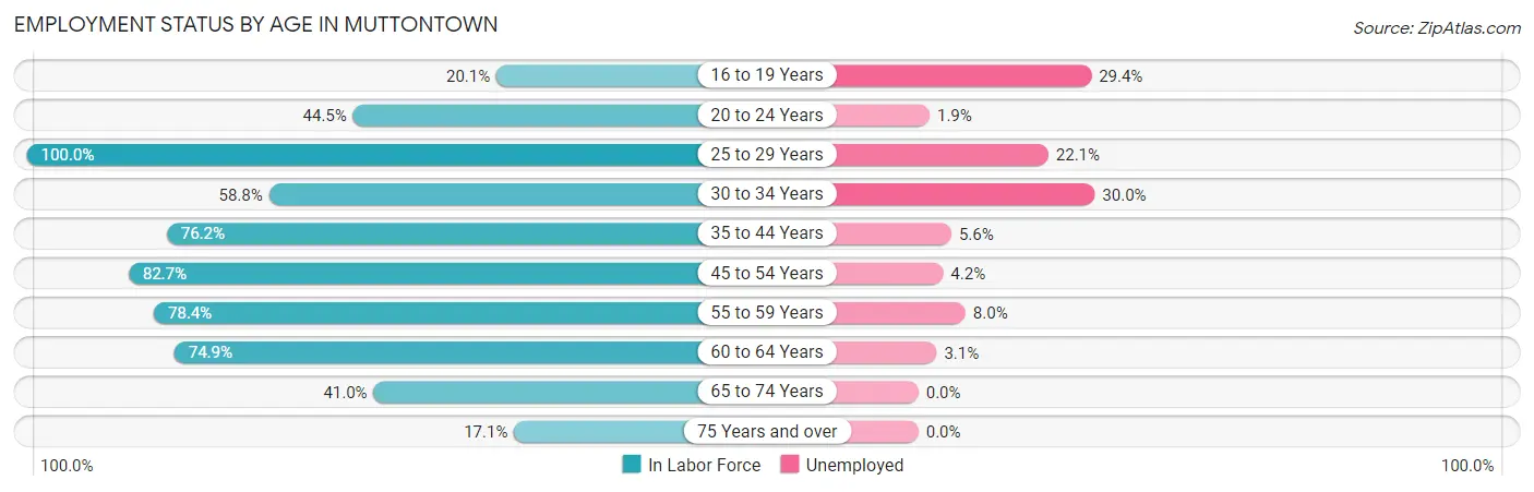 Employment Status by Age in Muttontown