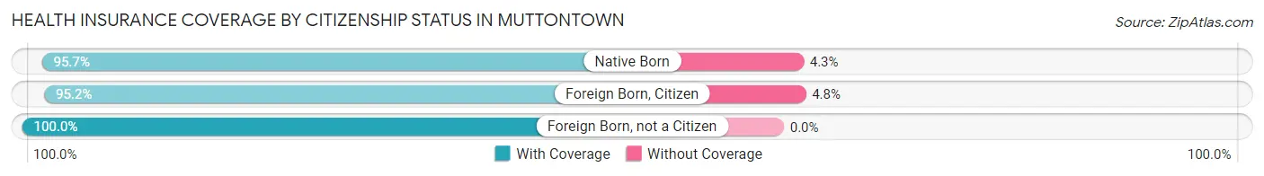 Health Insurance Coverage by Citizenship Status in Muttontown