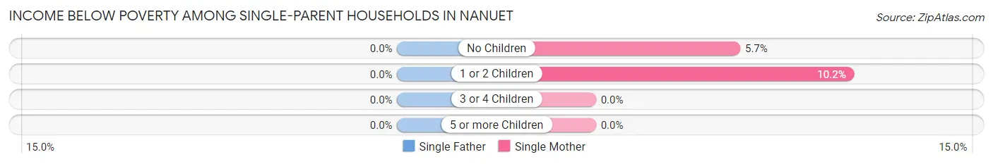 Income Below Poverty Among Single-Parent Households in Nanuet