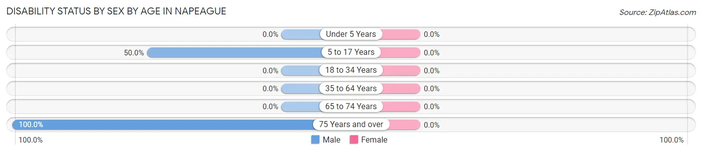 Disability Status by Sex by Age in Napeague
