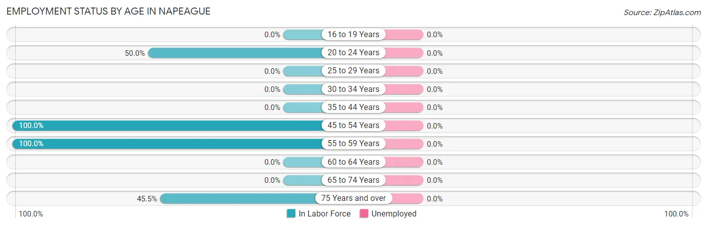 Employment Status by Age in Napeague
