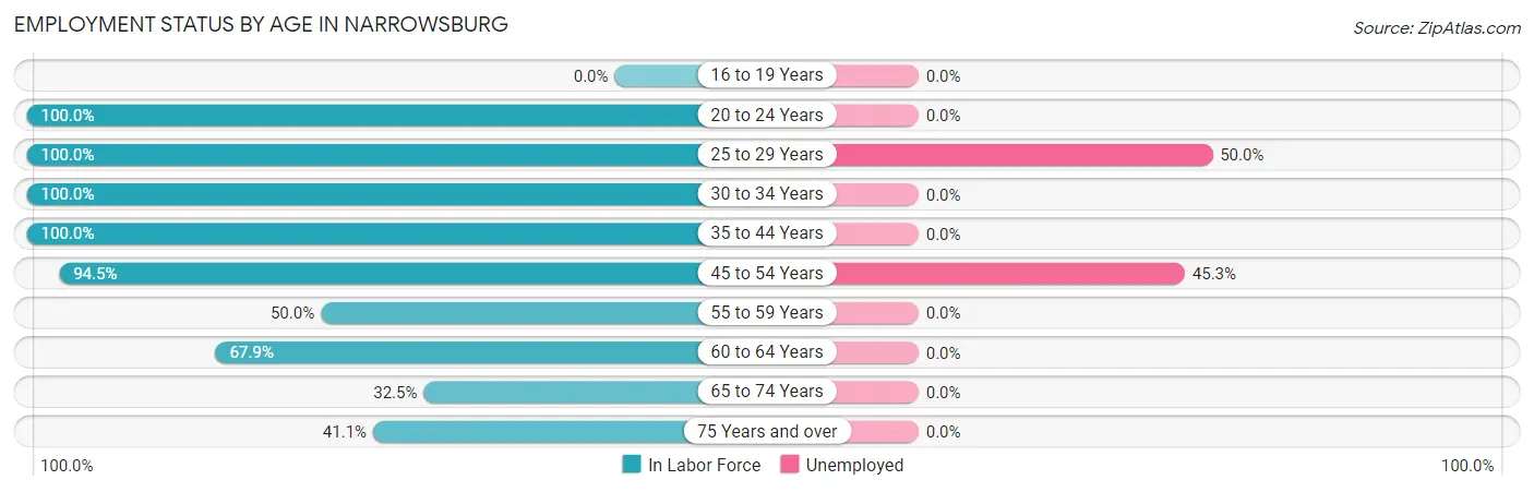 Employment Status by Age in Narrowsburg