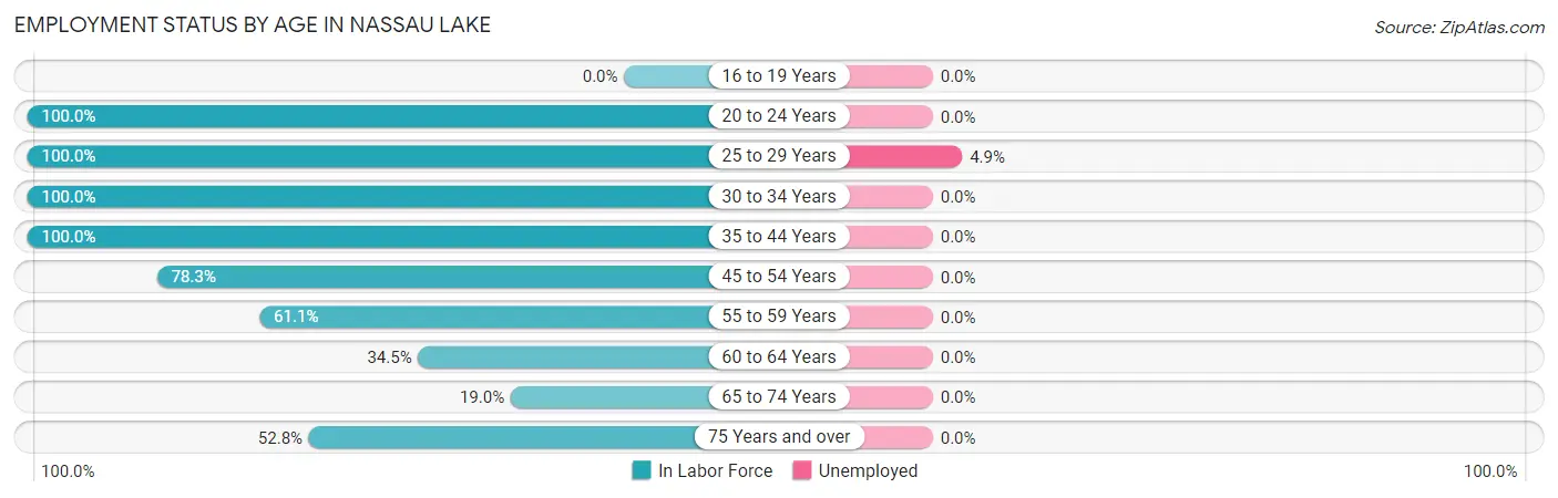 Employment Status by Age in Nassau Lake