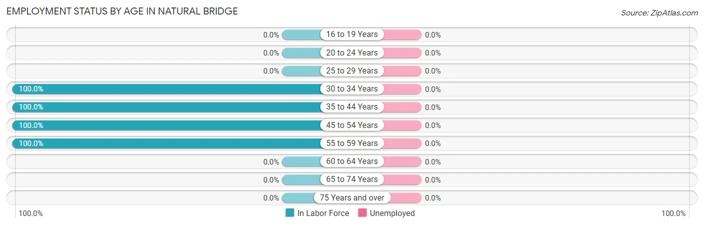 Employment Status by Age in Natural Bridge