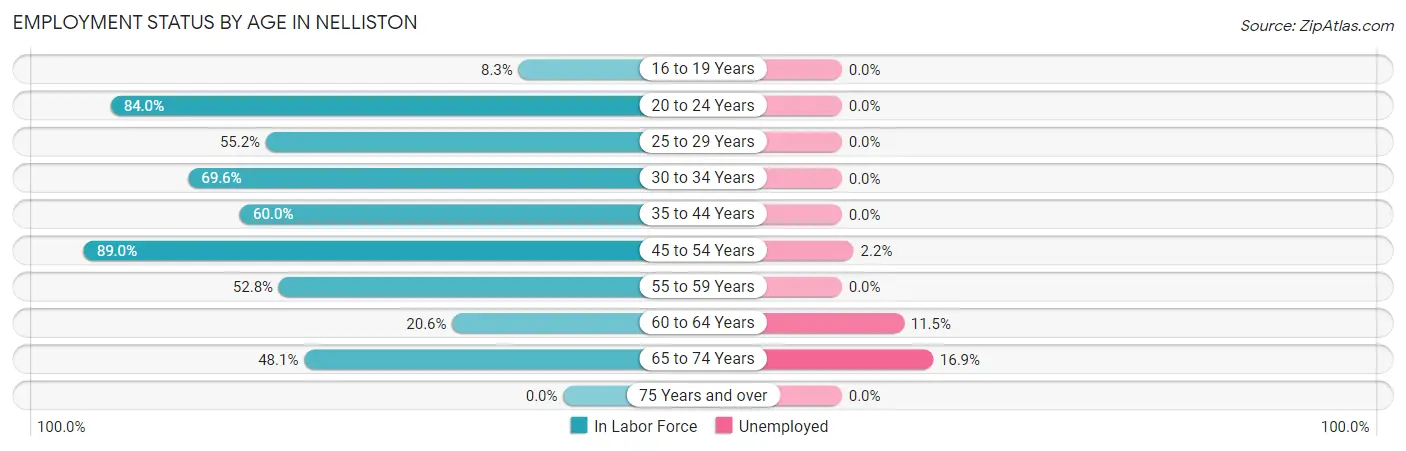 Employment Status by Age in Nelliston