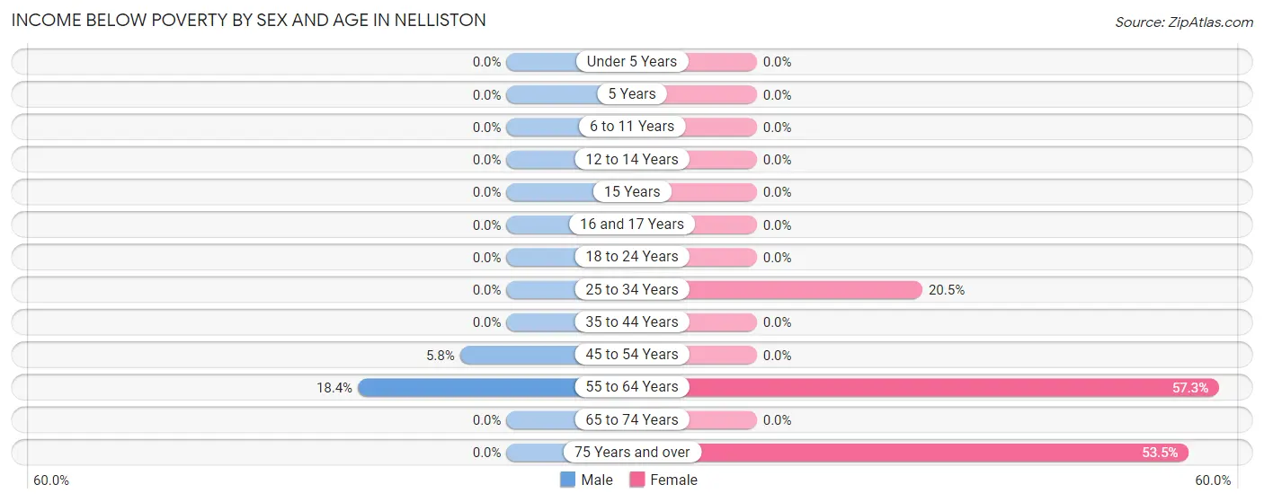 Income Below Poverty by Sex and Age in Nelliston